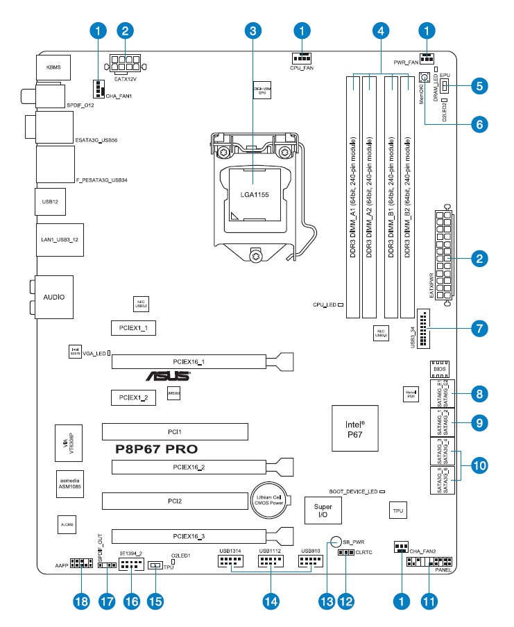 Schematic Picture