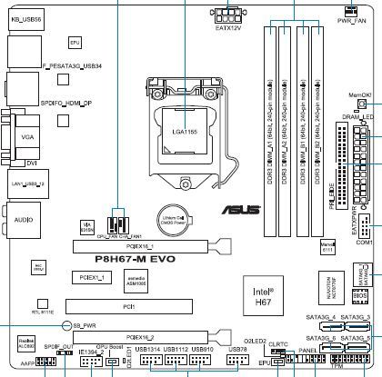 Schematic Picture