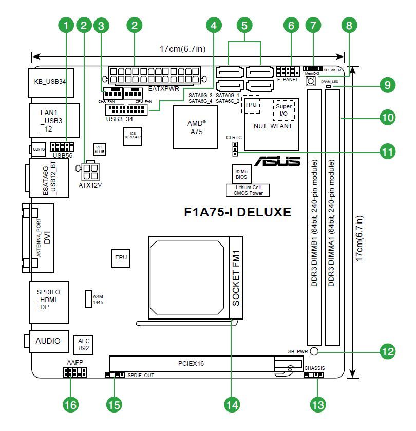 Schematic Picture