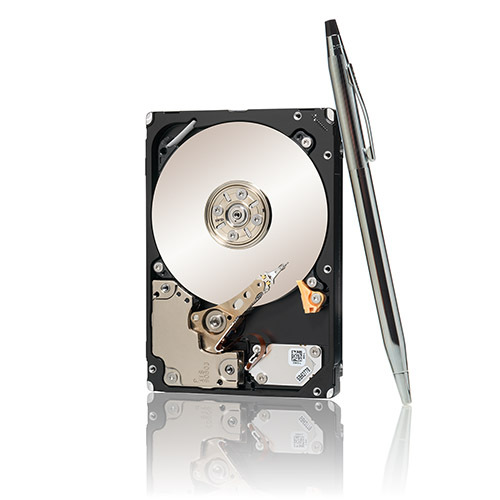 Seagate ST300MM0026 Savvio 10K.6 HardDisk