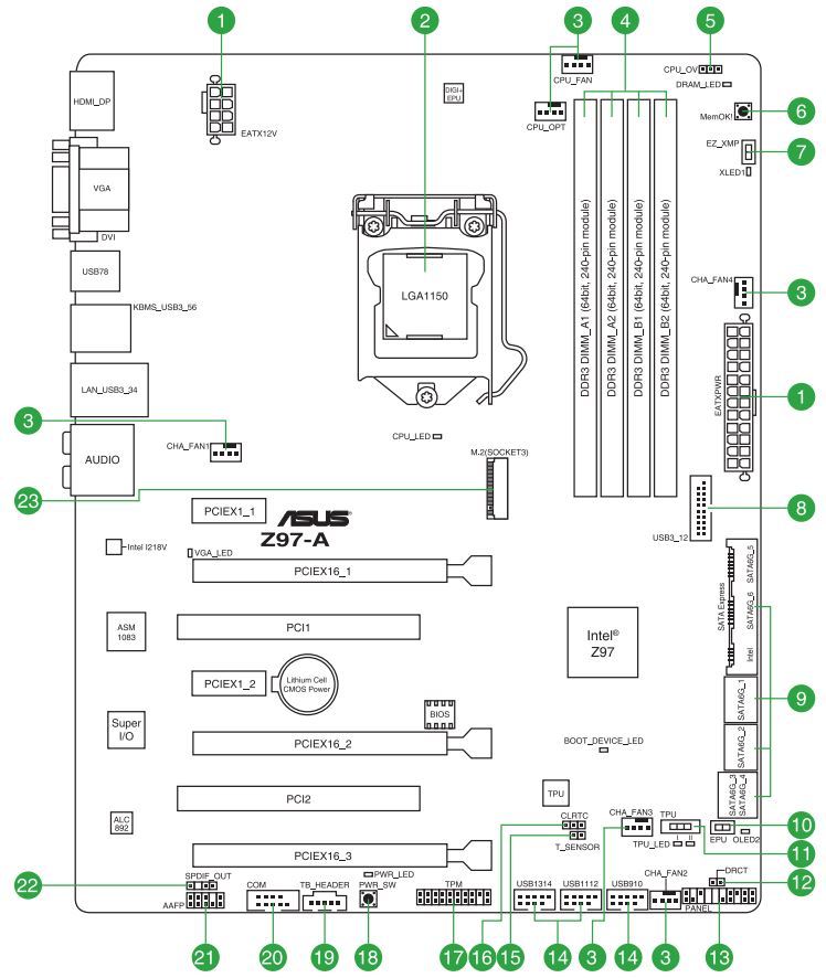 Schematic Picture