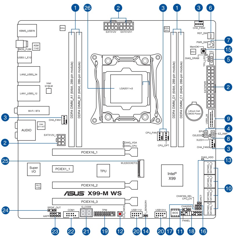 Schematic Picture