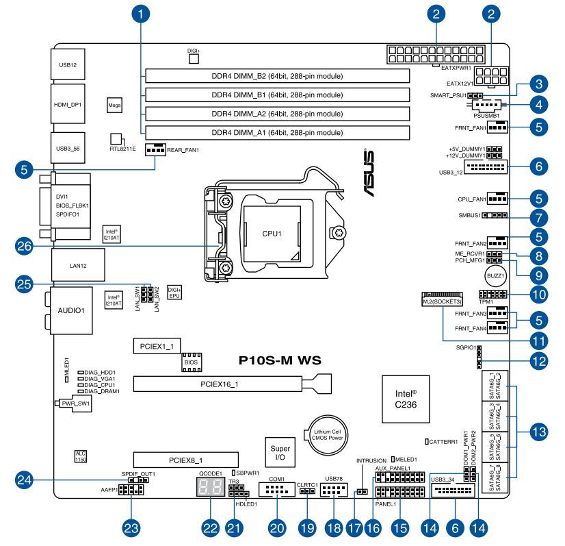 Schematic Picture