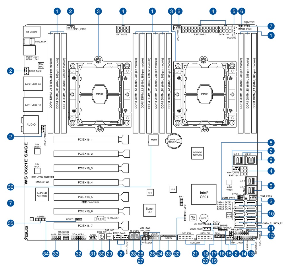 Schematic Picture