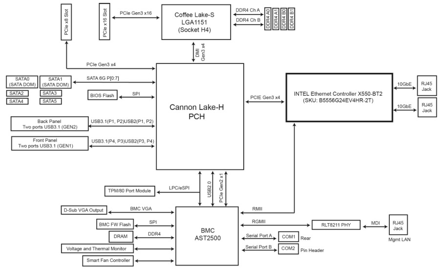 Schematic Picture