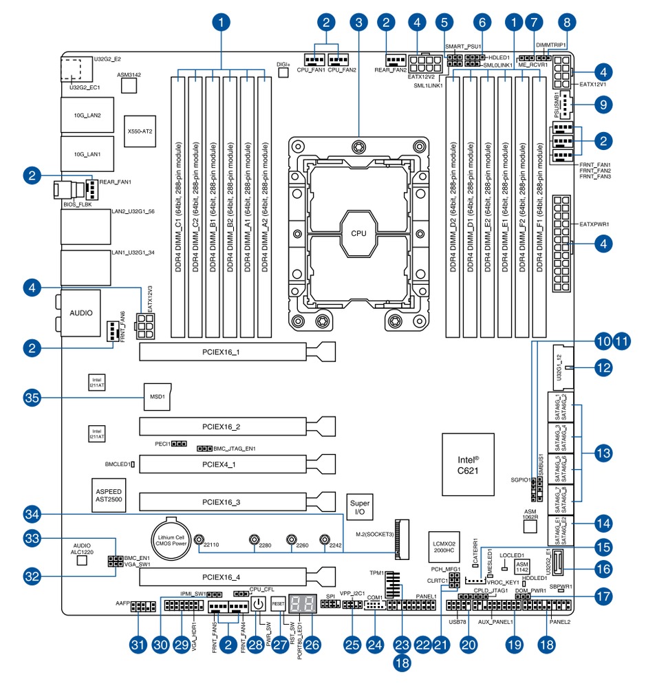 Schematic Picture