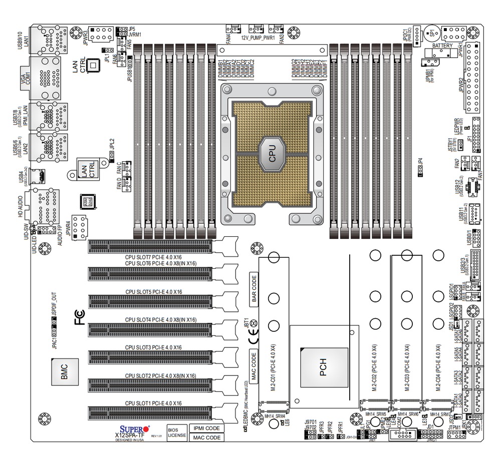 Schematic Picture