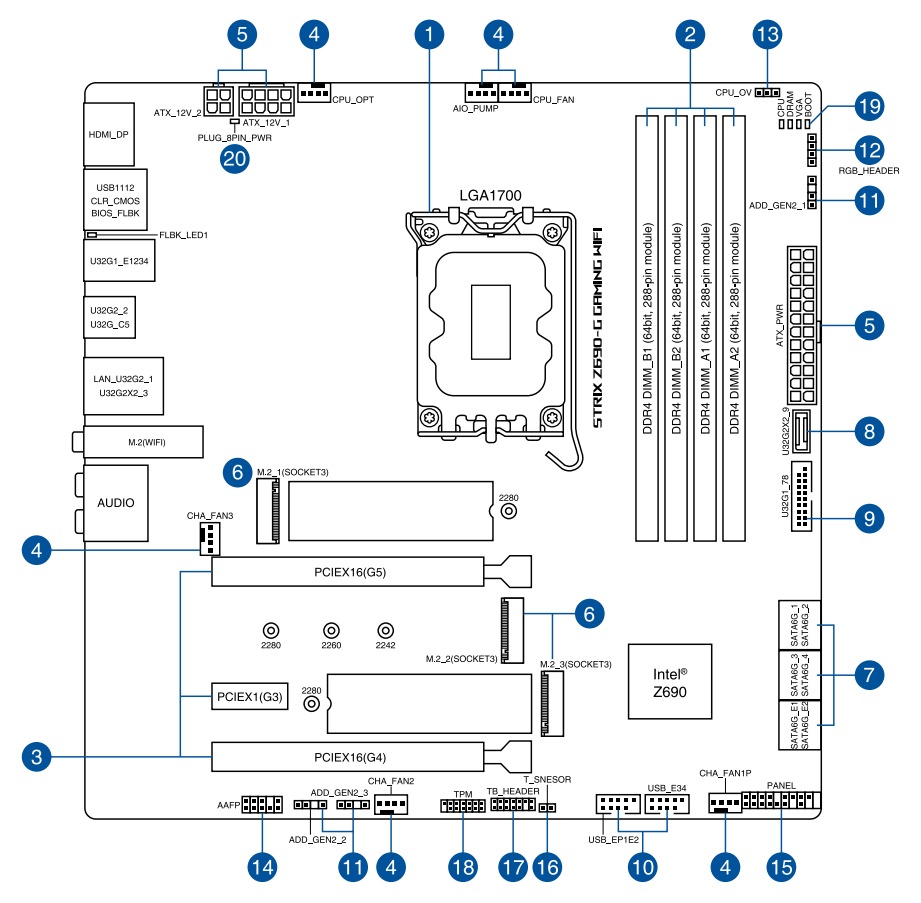 Schematic Picture