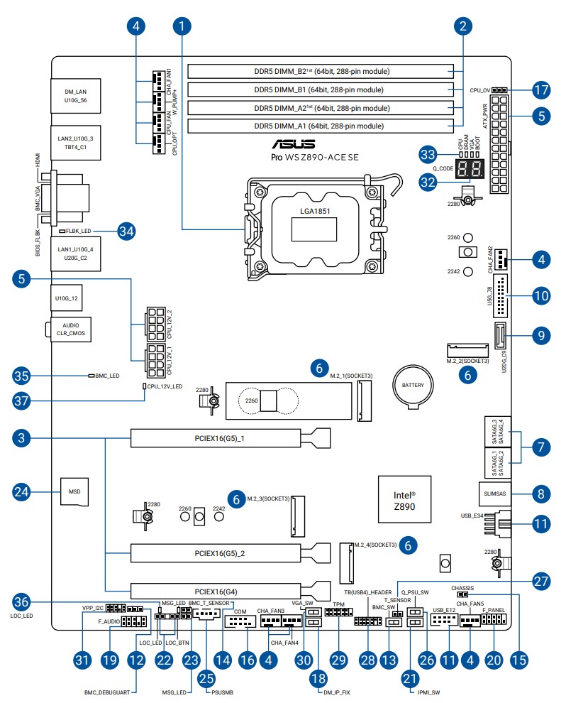 Schematic Picture