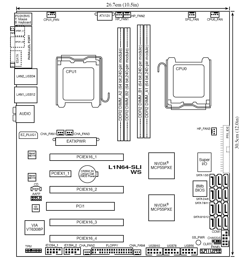 Schematic Picture