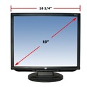 CTL 191LX LCD 19 Inch LCD Monitor: Black w/ Speakers Picture 14800