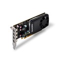 PNY Quadro P600 PCI-E 2GB Picture 41751