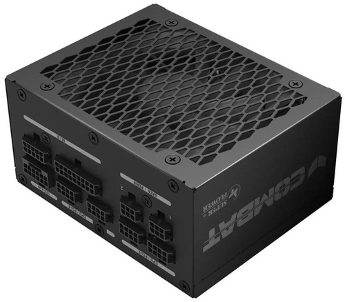 Super Flower Combat SFX Platinum 1000W Main Picture