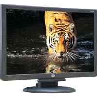CTL 196UW 19 Inch Widescreen LCD Monitor: Black w/ Speakers Main Picture