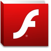 Flash Main Picture