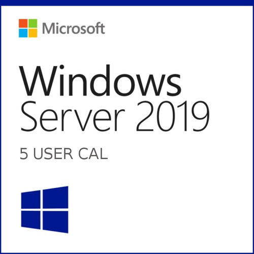 MS Server 2019 5 User CAL Pack Main Picture