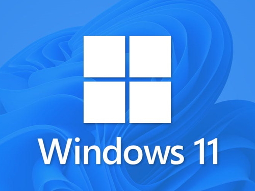 Windows 11 Pro 64-bit  Main Picture
