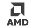 Gray AMD Logo
